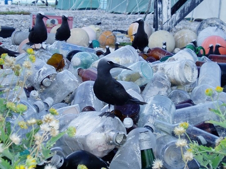 birds on plastic