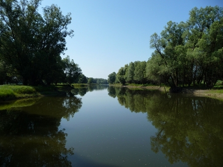 the river in kopacki rid