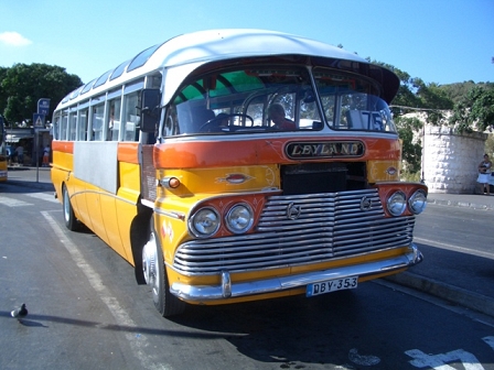 maltese bus