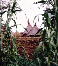 houses in dogon village