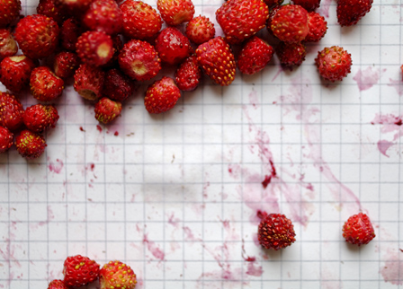 walderdbeeren auf karriertem papier