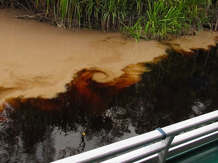 borneo black river