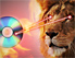 Lion and CD