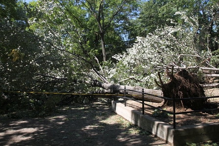 Hurricane Irene, New York