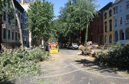 Hurricane Irene, New York