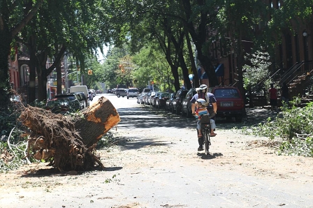 Hurricane Irene, New York