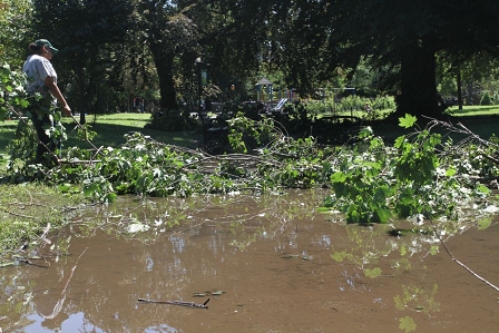 Hurricane Irene, New York