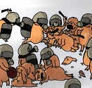 schweine hauen sich