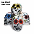Band Album Cover Hard-Fi