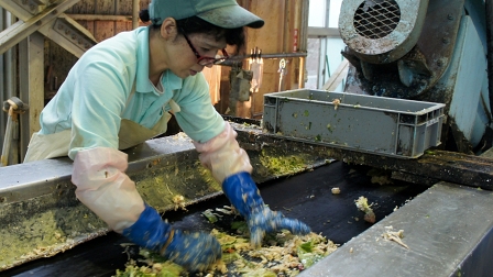 Ausschnitt aus dem Film "Taste The Waste": Eine japanische Arbeiterin fischt Plastikreste aus Müll, der zu Futtermittel verarbeitet wird.