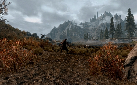 Skyrim