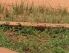 Land in Uganda^