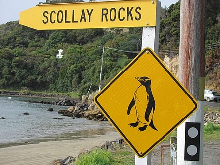 © Johnny Bliss, 2011 Stewart Island