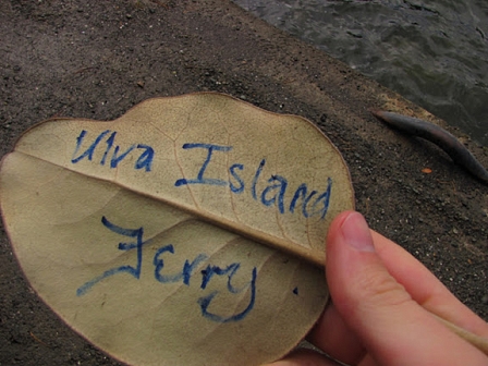 © Johnny Bliss, 2011 Stewart Island