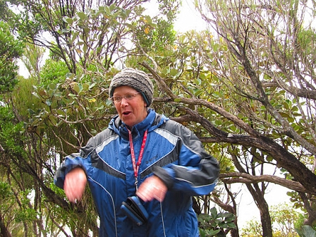© Johnny Bliss, 2011 Stewart Island Kiwi