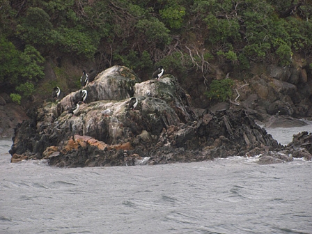 © Johnny Bliss, 2011 Stewart Island