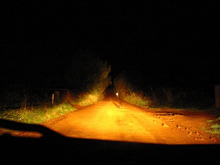 Straße bei Nacht