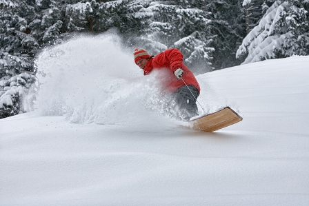 gimpl fährt auf holzbrett