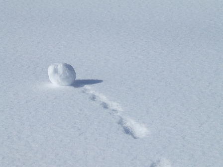 Ein Schneeball