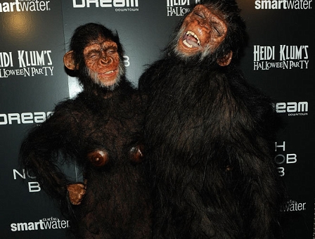 heidi seal apes halloween affen