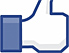 Facebook Like-Button