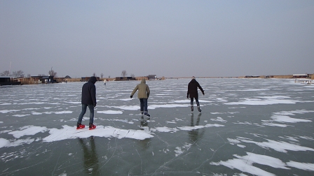 Eislaufen am Neusiedlersee