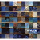 Cover: Tindersticks: the something rain