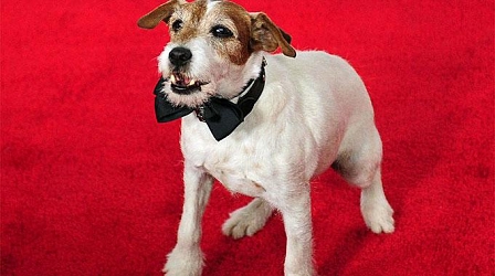 Uggie