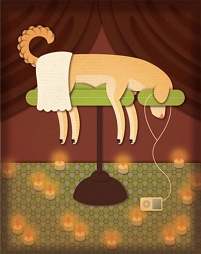 illustration - hund liegt auf massagebank mit i-pod