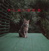 plaided