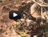 Filmstill Computeranimation vom Marsrover Curiosity