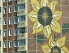 Hochhaus mit Sonnenblumen an der Fassade