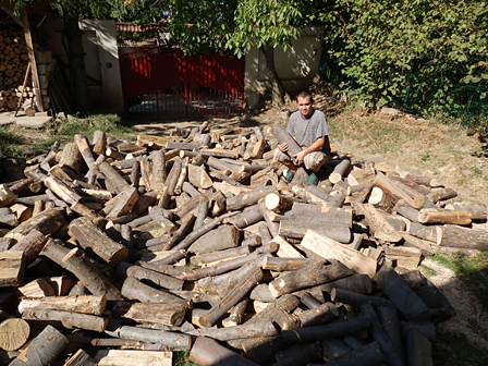 Todor Ovtcharov mit Holz