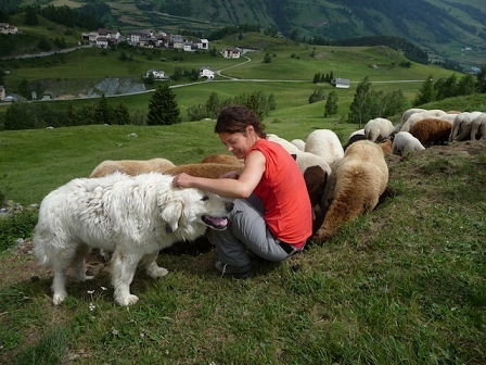 girl with sheep