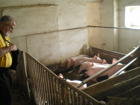 © CC Erich Moechel Capt'n Crunch im Schweinestall