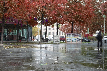 Herbstlaub in Berlin, nasse Straßen