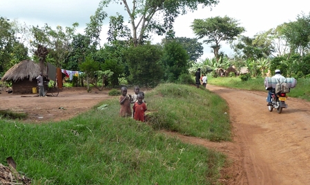 The road to Luwero