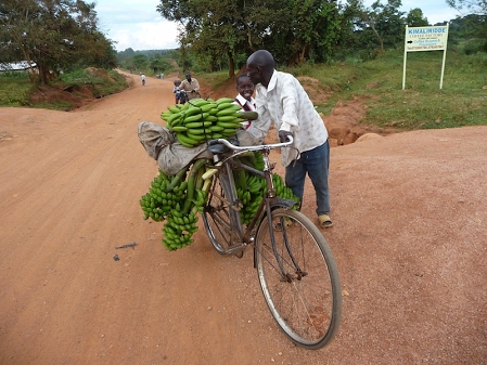 man carrying bananas