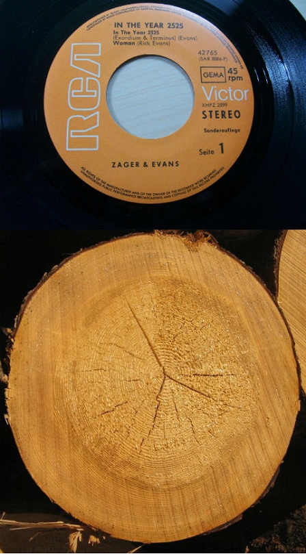 © Ebay / unbekannt Eine Vinylsingle mit vielen Rillen, darunter ein gefällter Baum im Querschnitt mit Jahresringen.