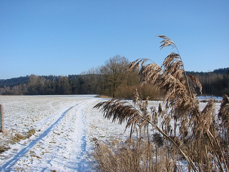 Acker im Schnee