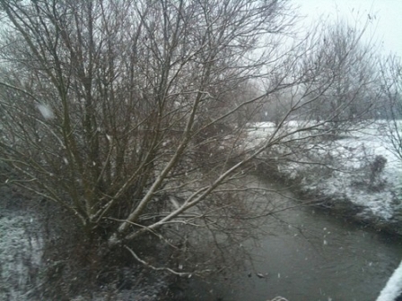 Canterbury River Stour