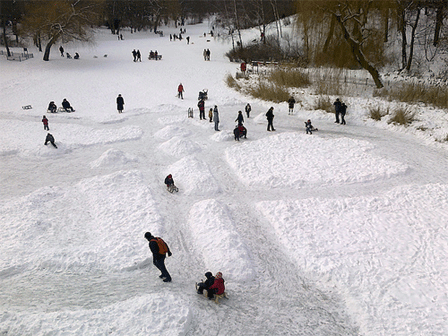 Rodelnde Menschen in einem verschneiten Berliner Park