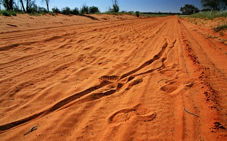 wüste - fahrradspur im sand