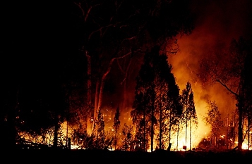 © EPA/TRACEY NEARMY Bush fires