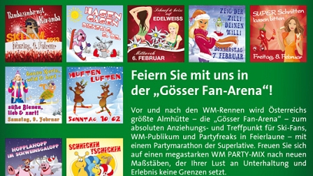 Website der Gösser Fanarena