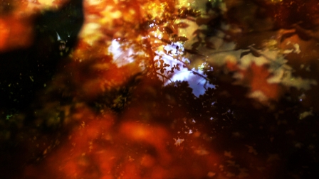 Filmstill aus Foret d'Experimentation von Michaela Grill: nicht genau zu definierende Farbschwämme