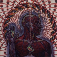 Booklet vom Tool Album "Lateralus".