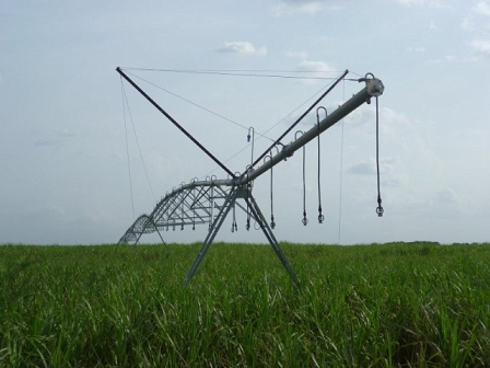 biofuels fields