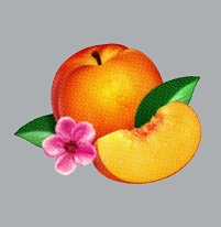 Albumcover der Phoenix-Platte "Bankrupt"