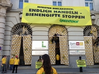 Greenpeace activists in front of the Environment ministry